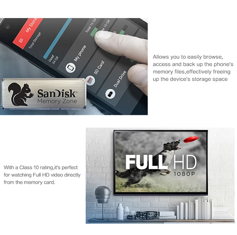 Sandisk High Performance Micro SD Card